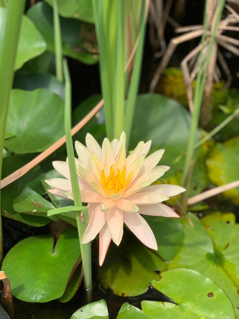 The Garden Center & Pond Supplies - Photo 5