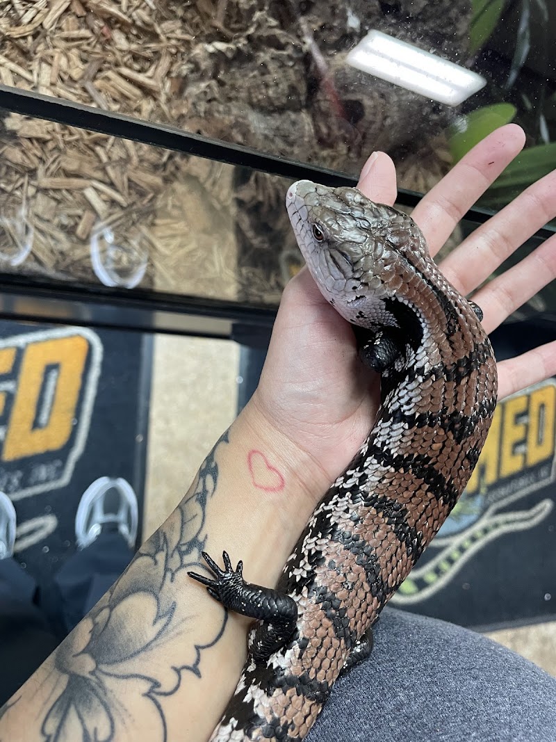 Pet City Houston - Photo 5