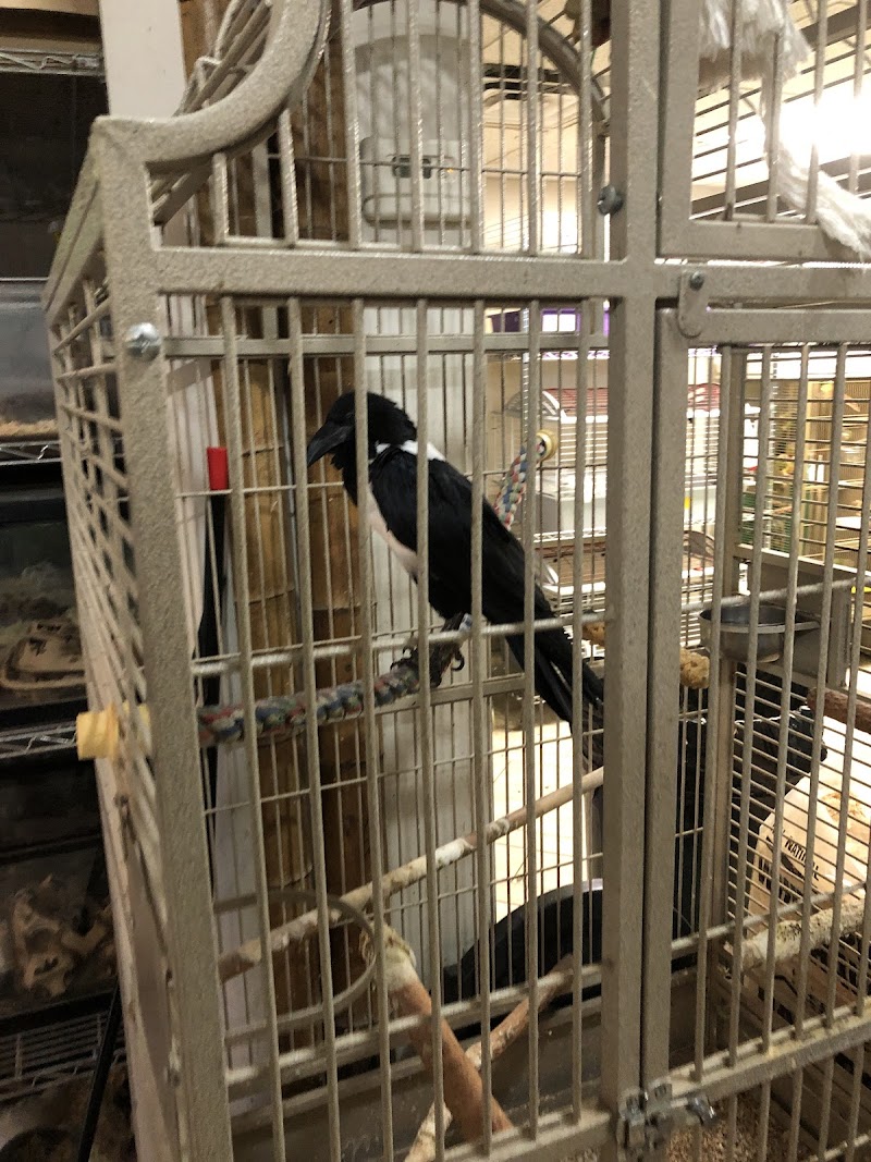 B.T.J.'s Jungle - Photo 3