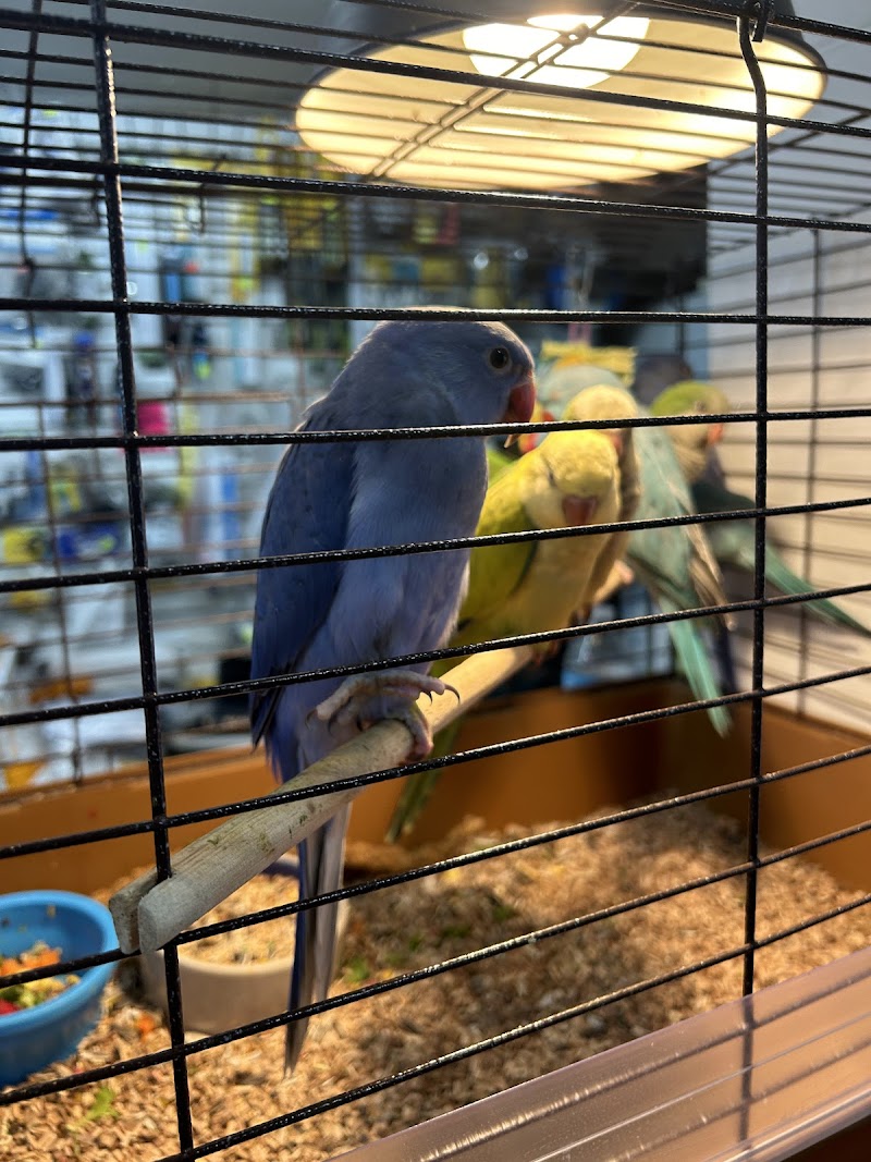 B.T.J.'s Jungle - Photo 4