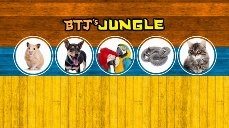 B.T.J.'s Jungle - Photo 5