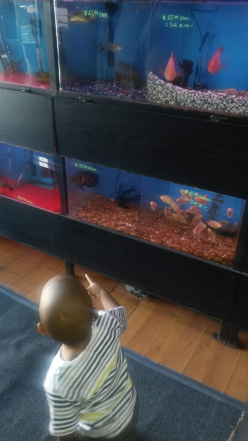 International Aquarium - Photo 2