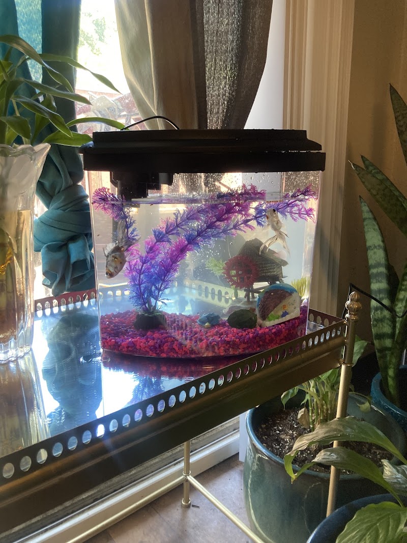 International Aquarium - Photo 4