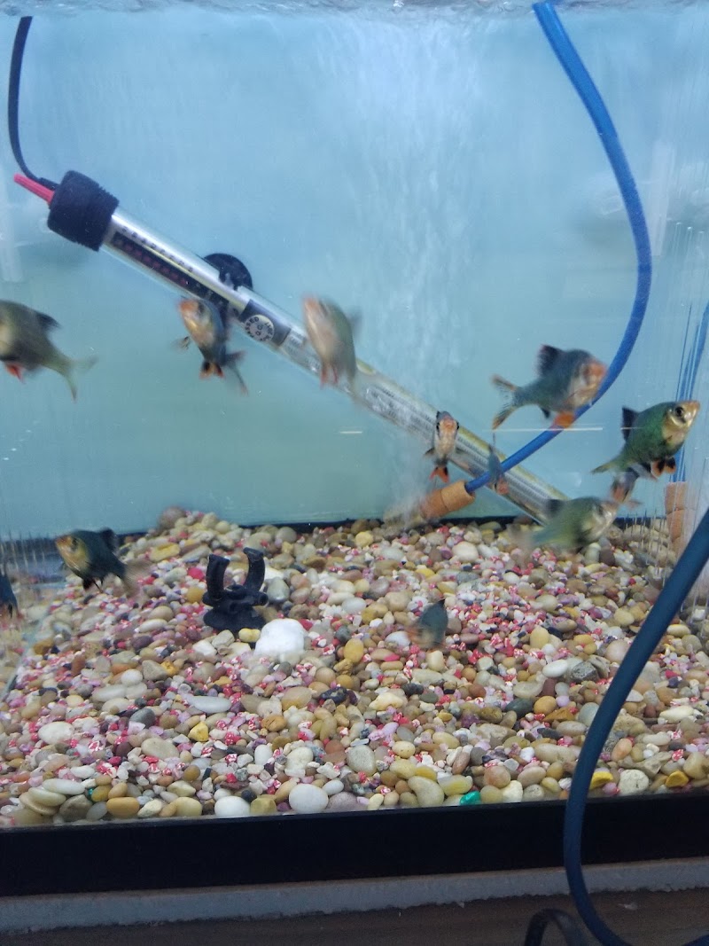 International Aquarium - Photo 5