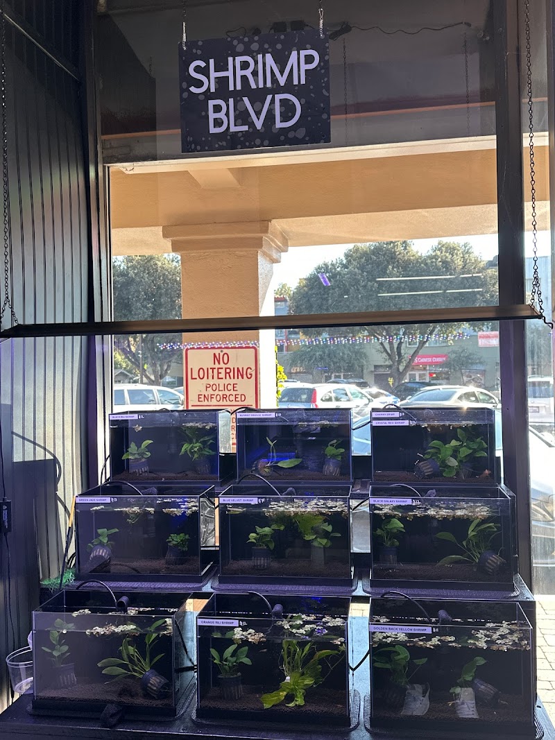 Art’s Underwater Reef - Photo 1