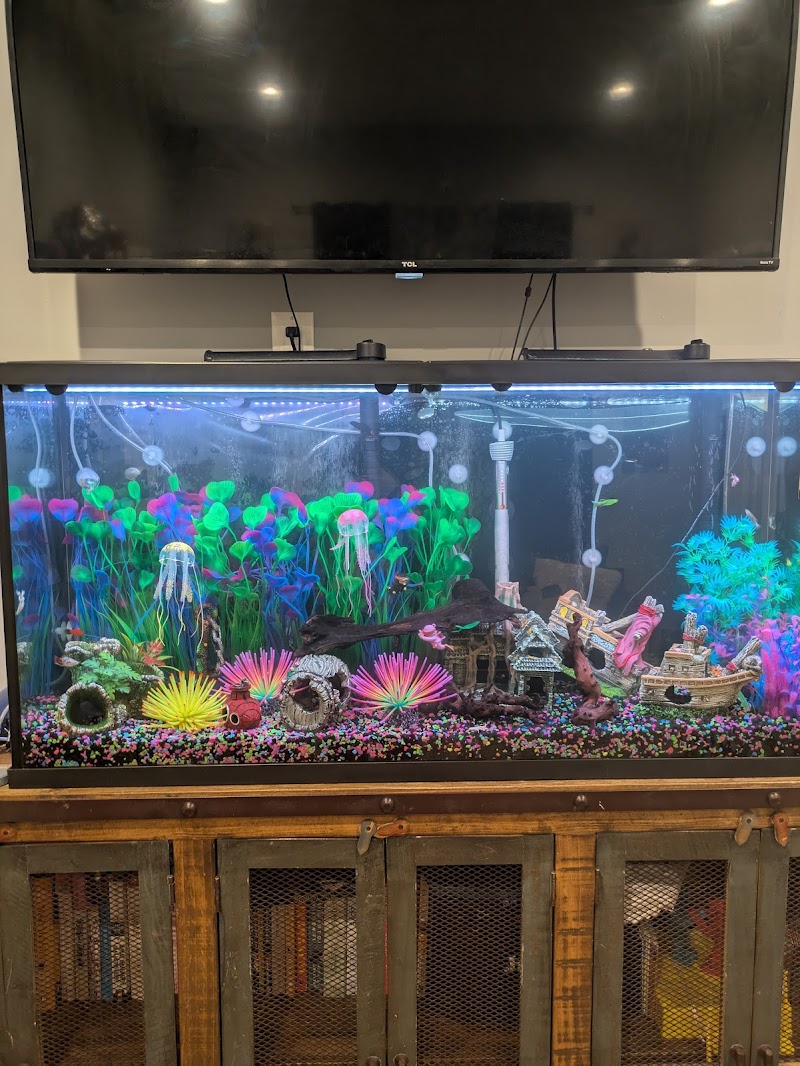 Art’s Underwater Reef - Photo 5