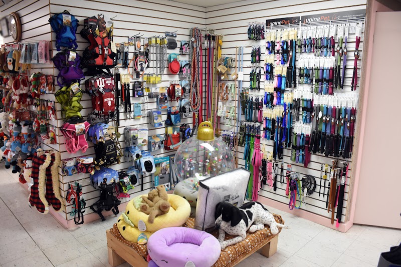 Paws and Claws & Company - Photo 2