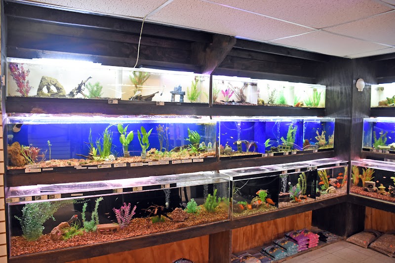 Paws and Claws & Company - Photo 3