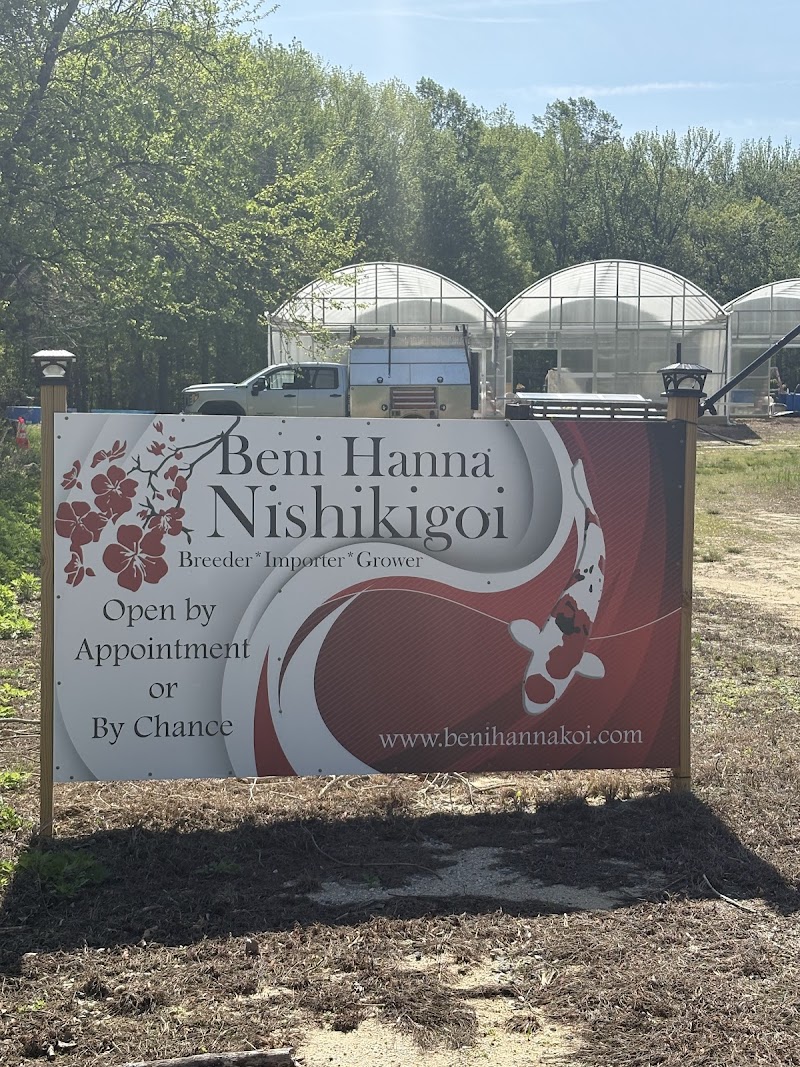 Beni Hanna Nishikigoi, LLC - Photo 4