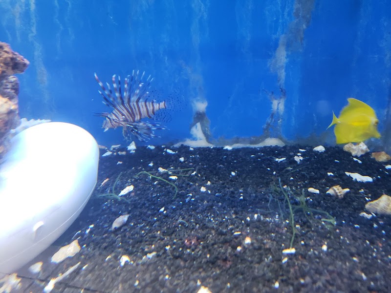 Coral Reef Aquariums - Photo 4