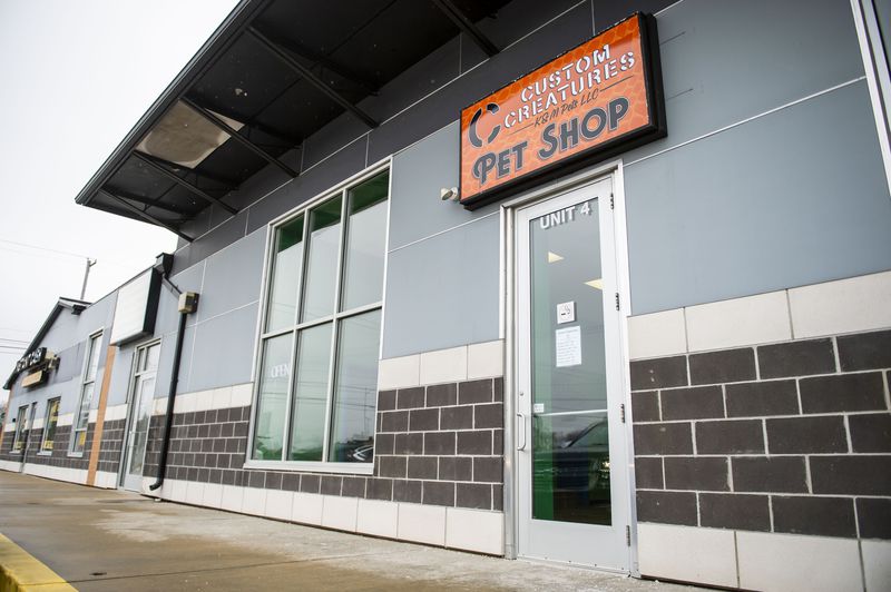 Custom Creatures Pet Shop - Photo 1