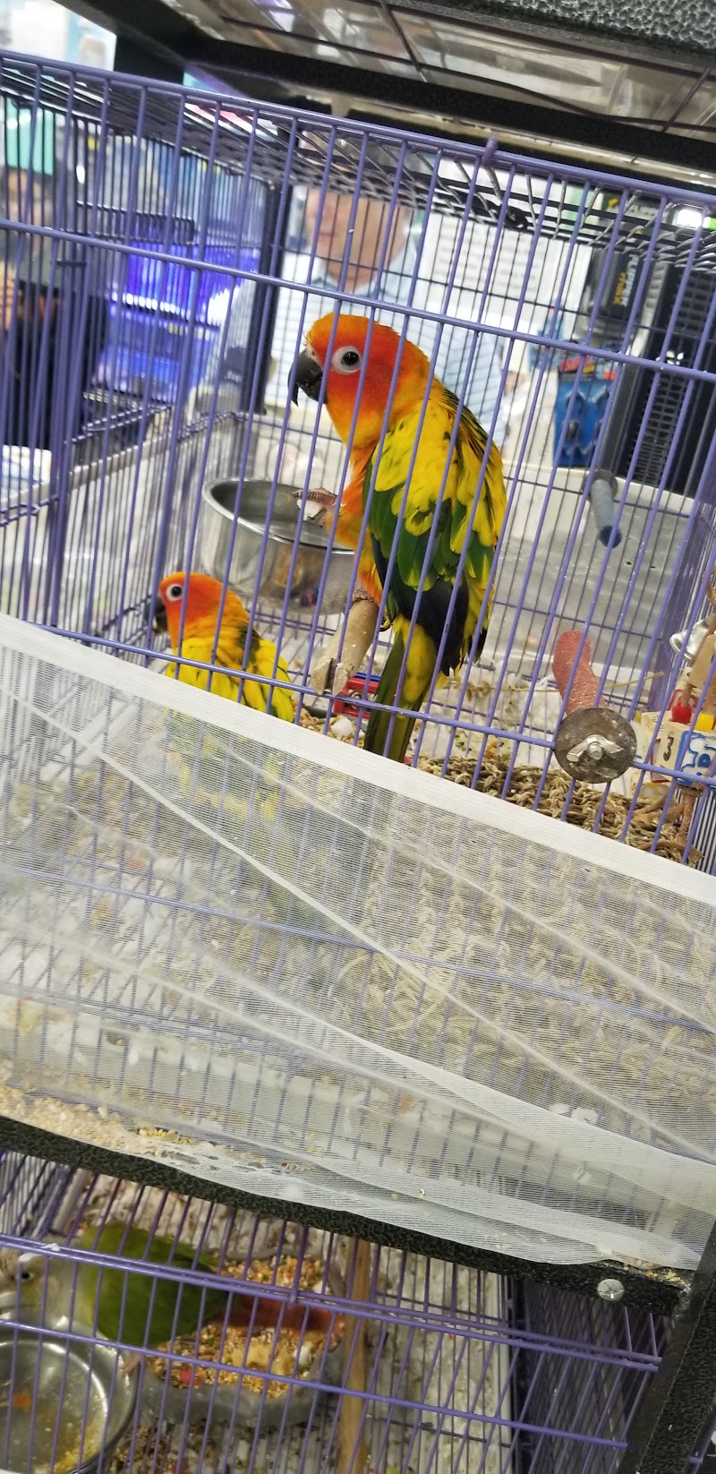 Value Pet Center - Photo 3