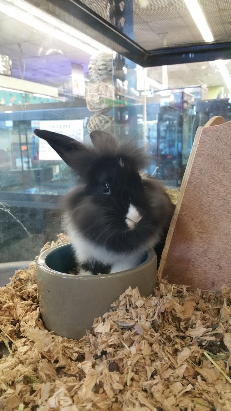 Value Pet Center - Photo 4