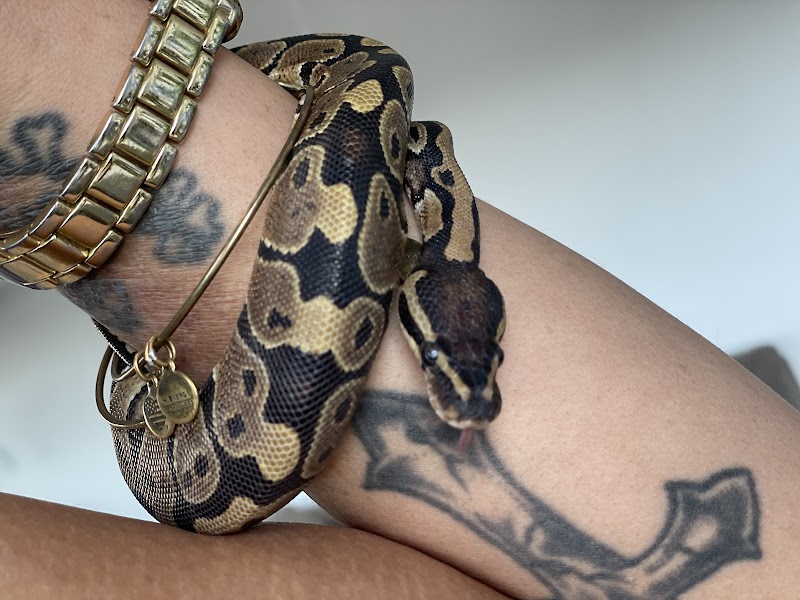 Value Pet Center - Photo 5