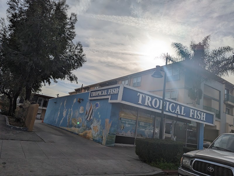 Tropical Imports - Photo 1