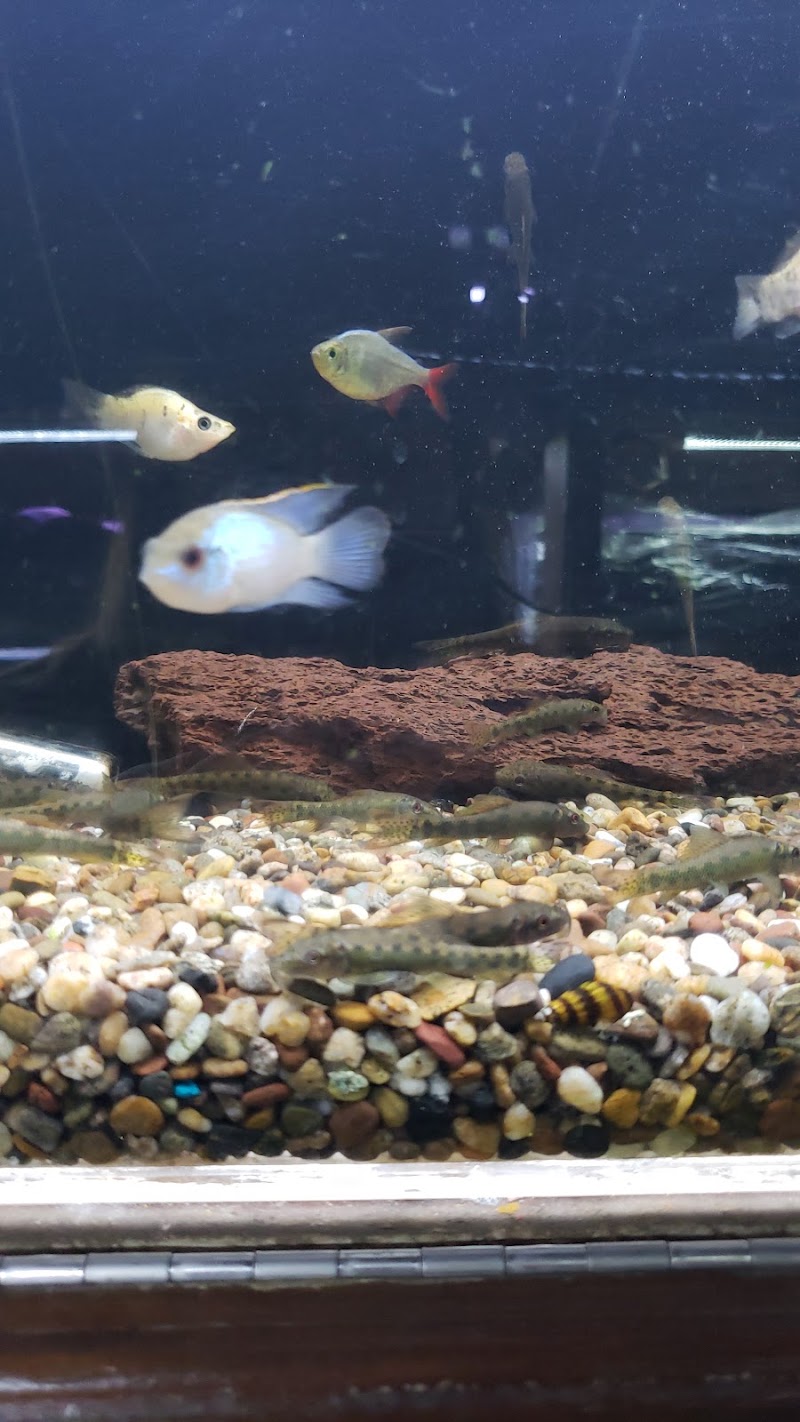 Tropical Imports - Photo 2