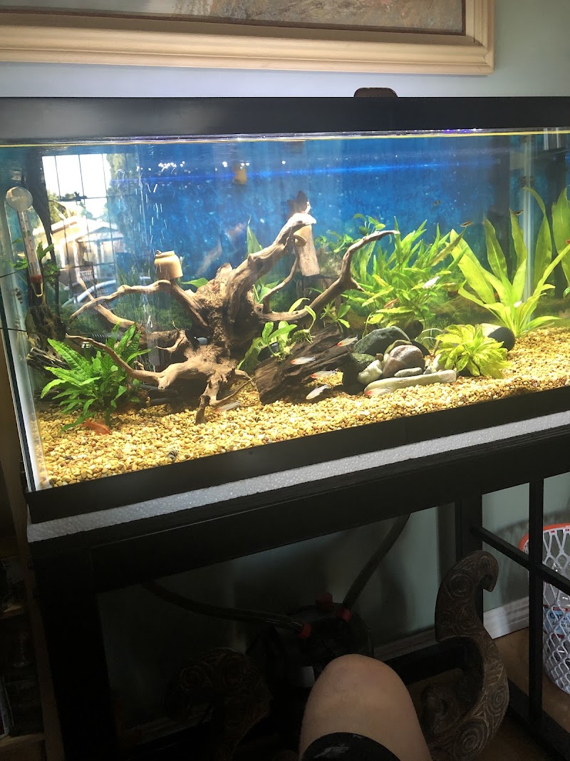 Tropical Imports - Photo 3