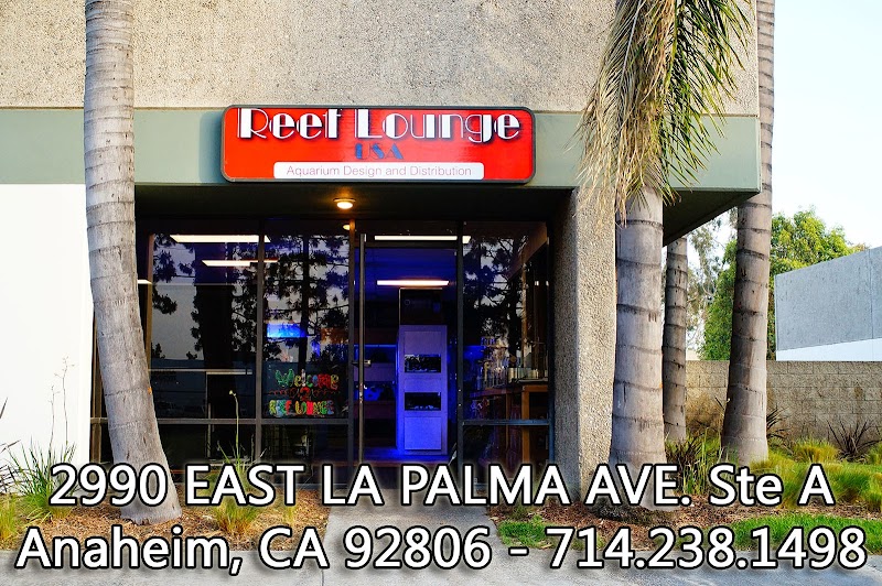 Reef Lounge USA - Photo 1