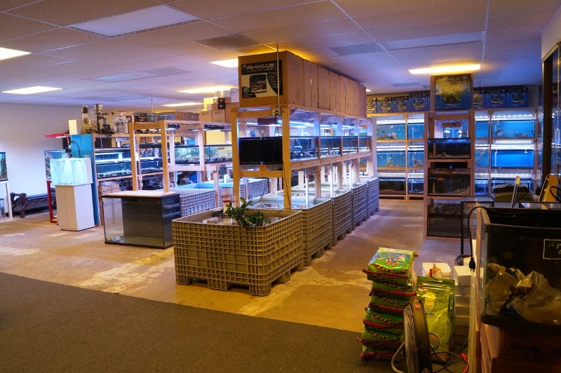 Reef Lounge USA - Photo 2