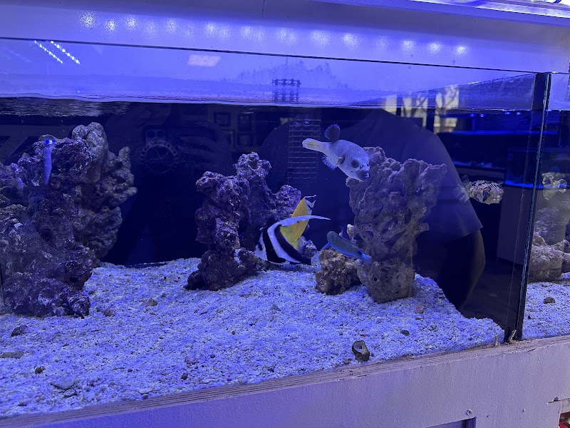 Reef Lounge USA - Photo 4