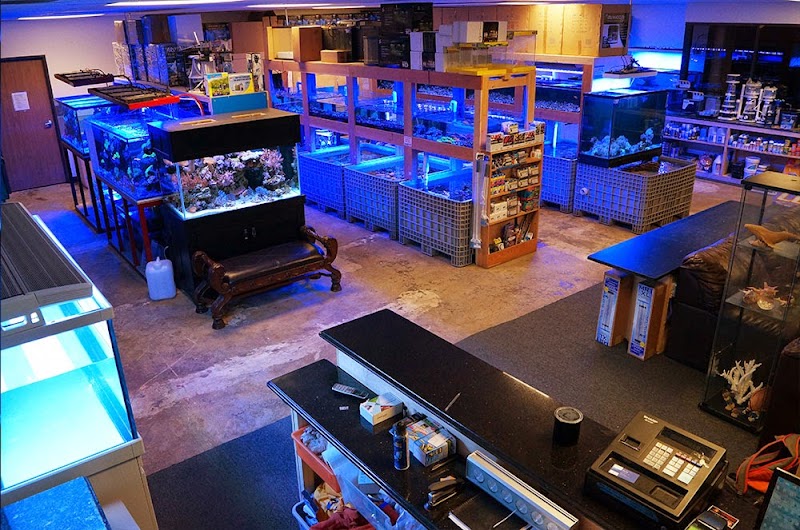 Reef Lounge USA - Photo 5