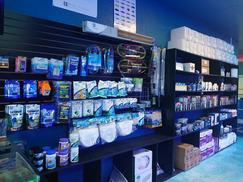 Artistic Oceans - Photo 2