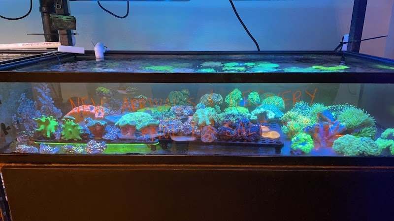 Artistic Oceans - Photo 3