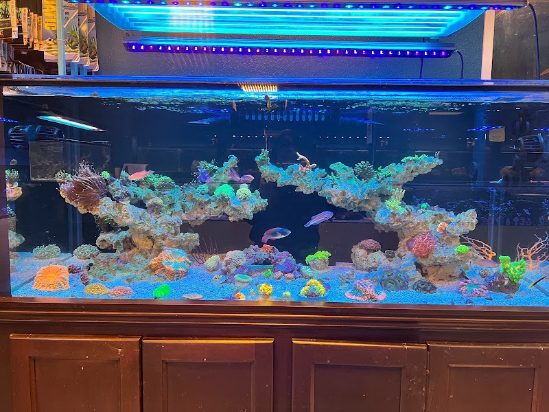 Artistic Oceans - Photo 4