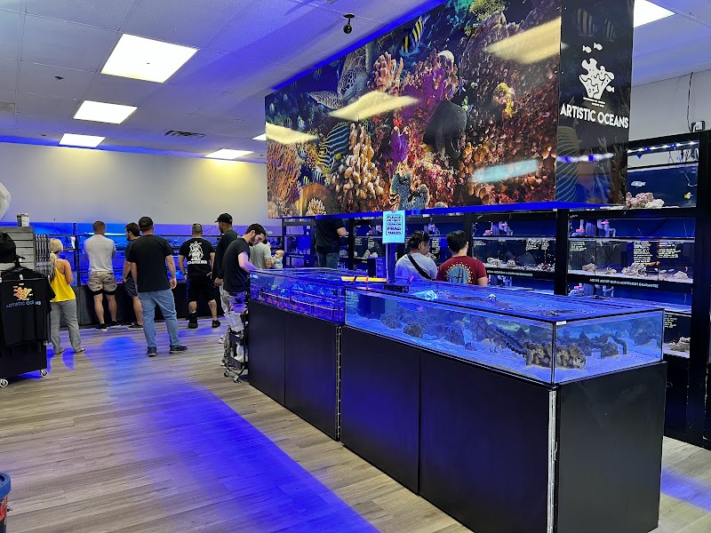 Artistic Oceans - Photo 5