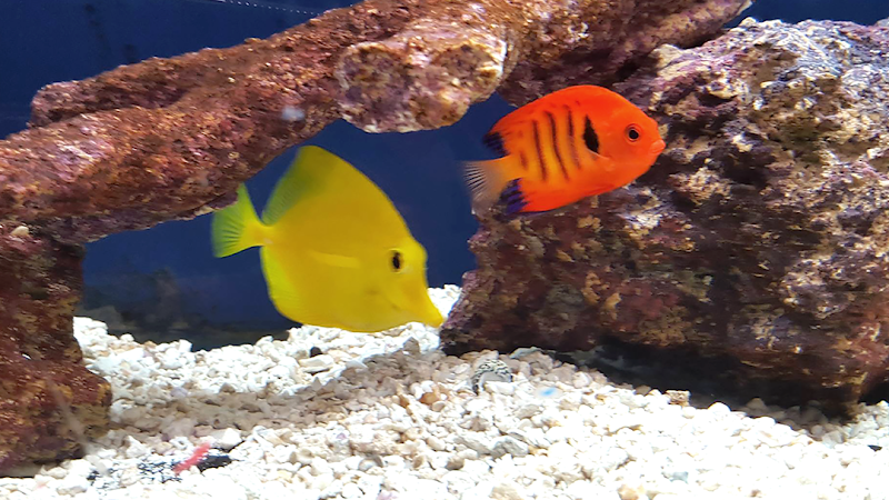 Pet Station Jackson - Photo 2