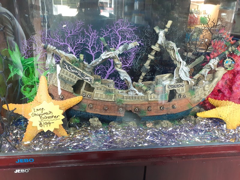 Pet Station Jackson - Photo 4