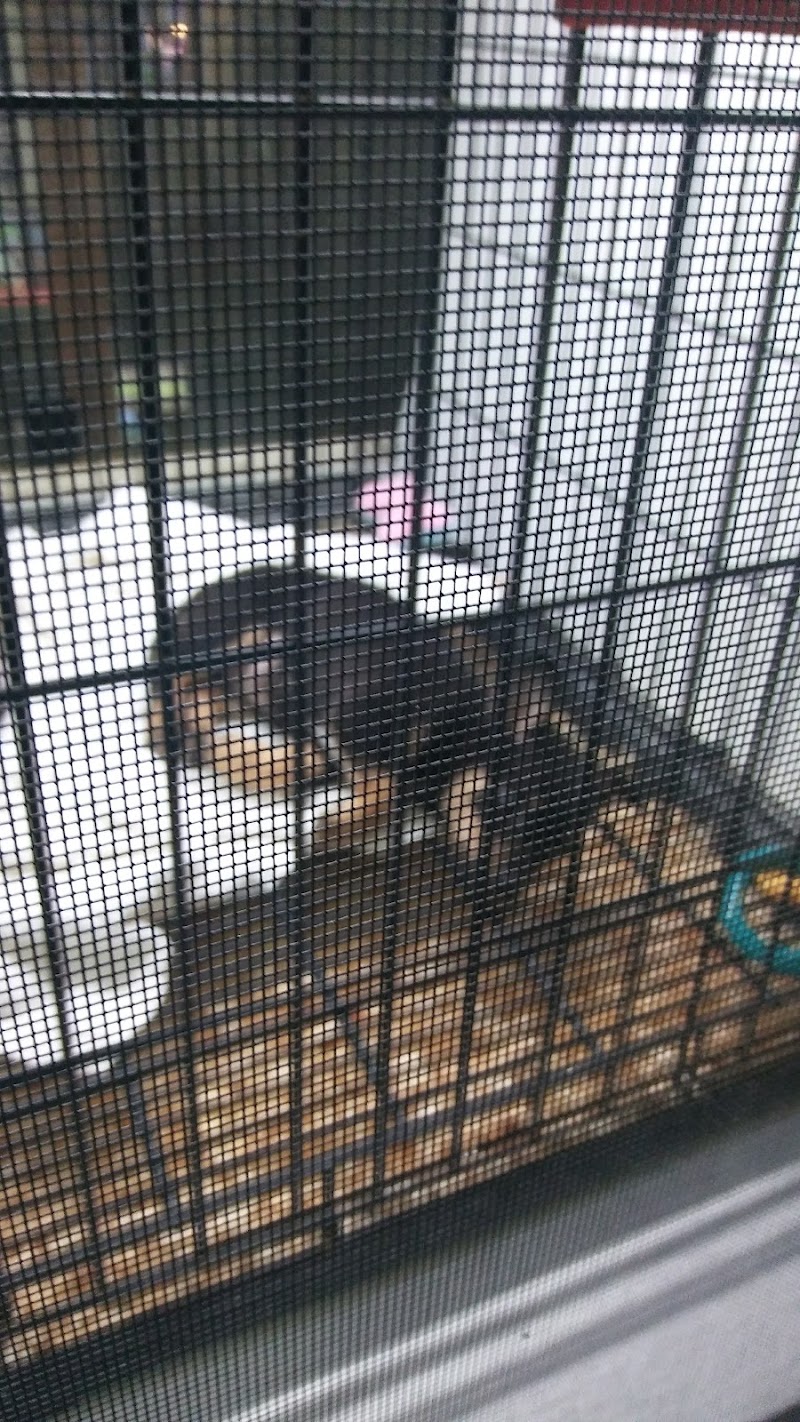 Pet Station Jackson - Photo 5