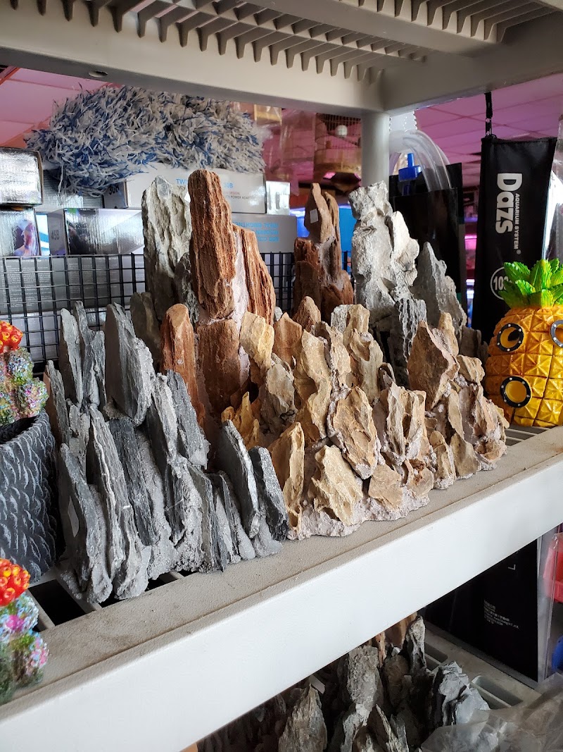 Total Fish & Pets - Photo 3