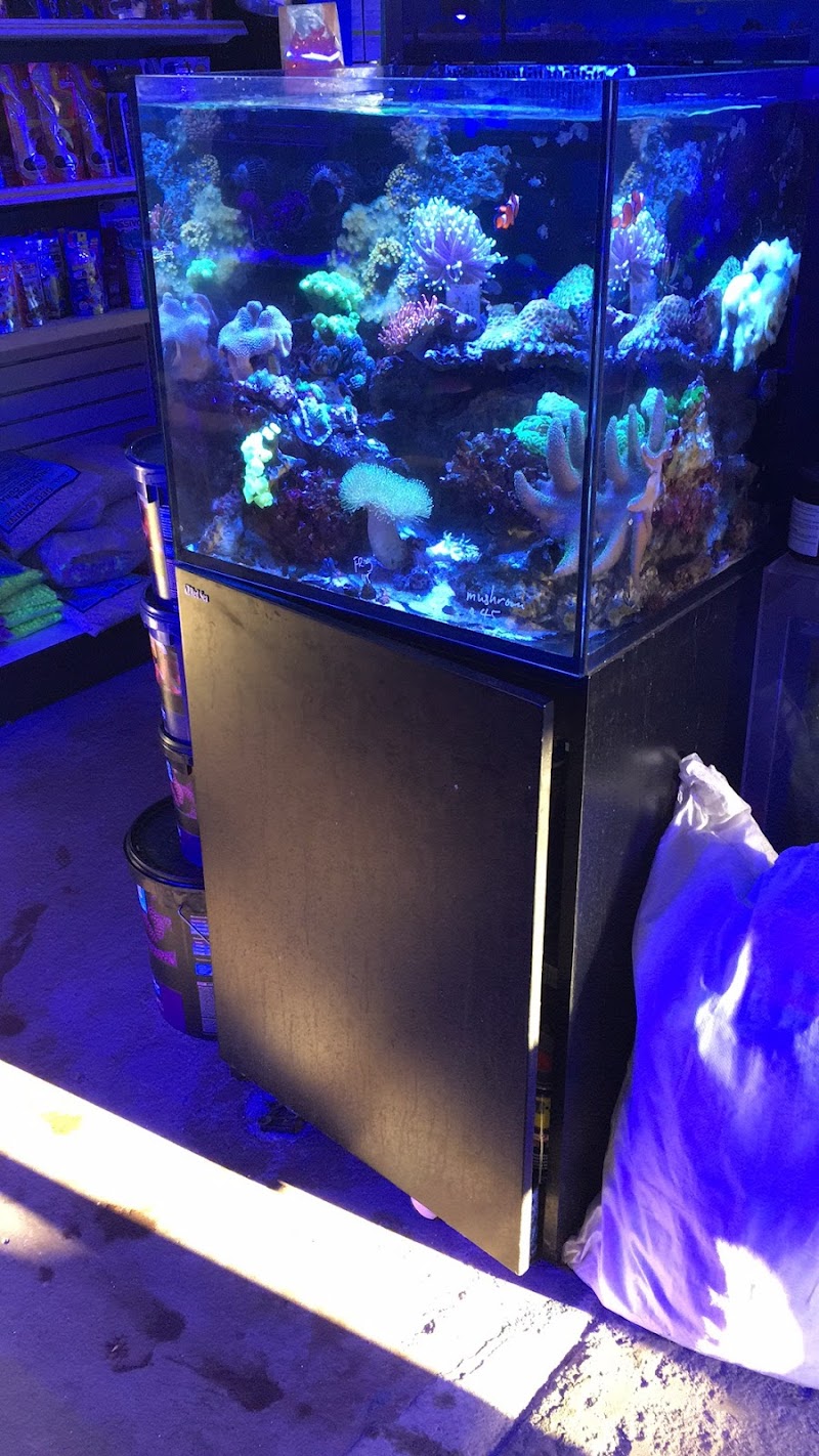 Total Fish & Pets - Photo 4