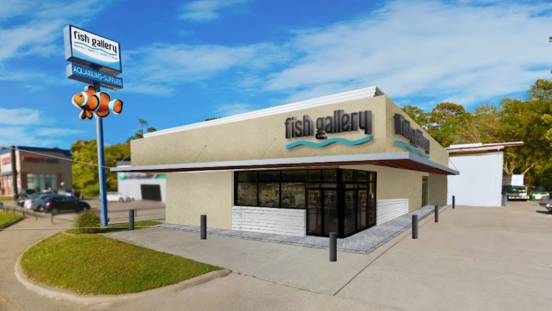 Fish Gallery | Aquarium Superstore - Photo 1