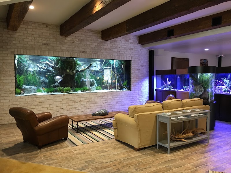 Fish Gallery | Aquarium Superstore - Photo 2
