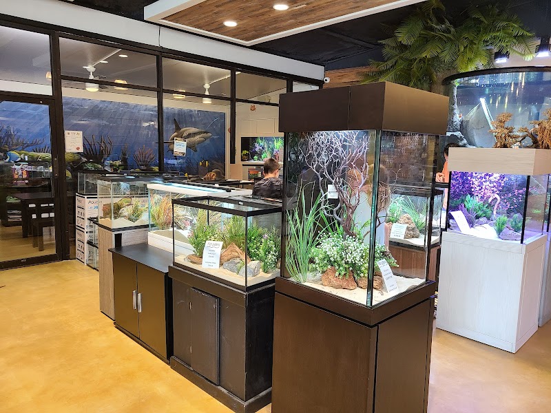 Fish Gallery | Aquarium Superstore - Photo 3