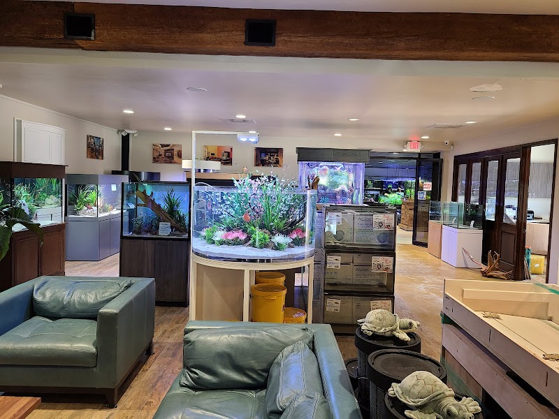 Fish Gallery | Aquarium Superstore - Photo 4