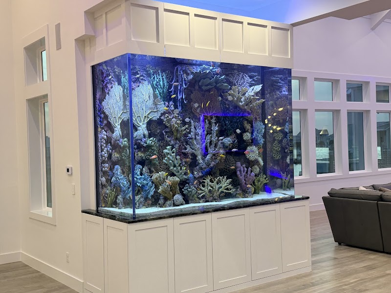 Blue Lagoon Aquariums - Photo 1