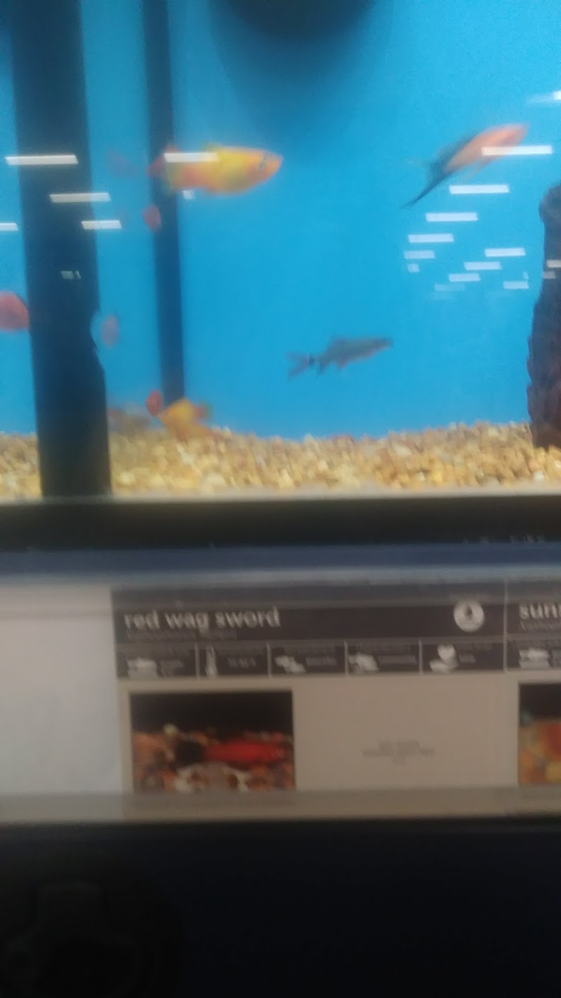 Aquatic Fantasy - Photo 2