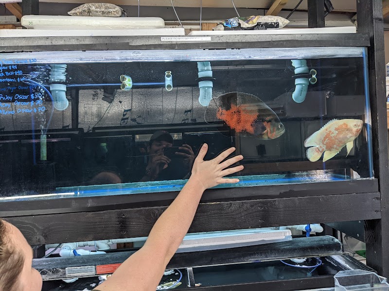 SimpReef LLC - Photo 2