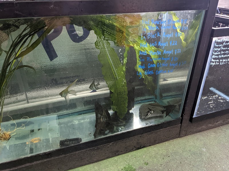 SimpReef LLC - Photo 4