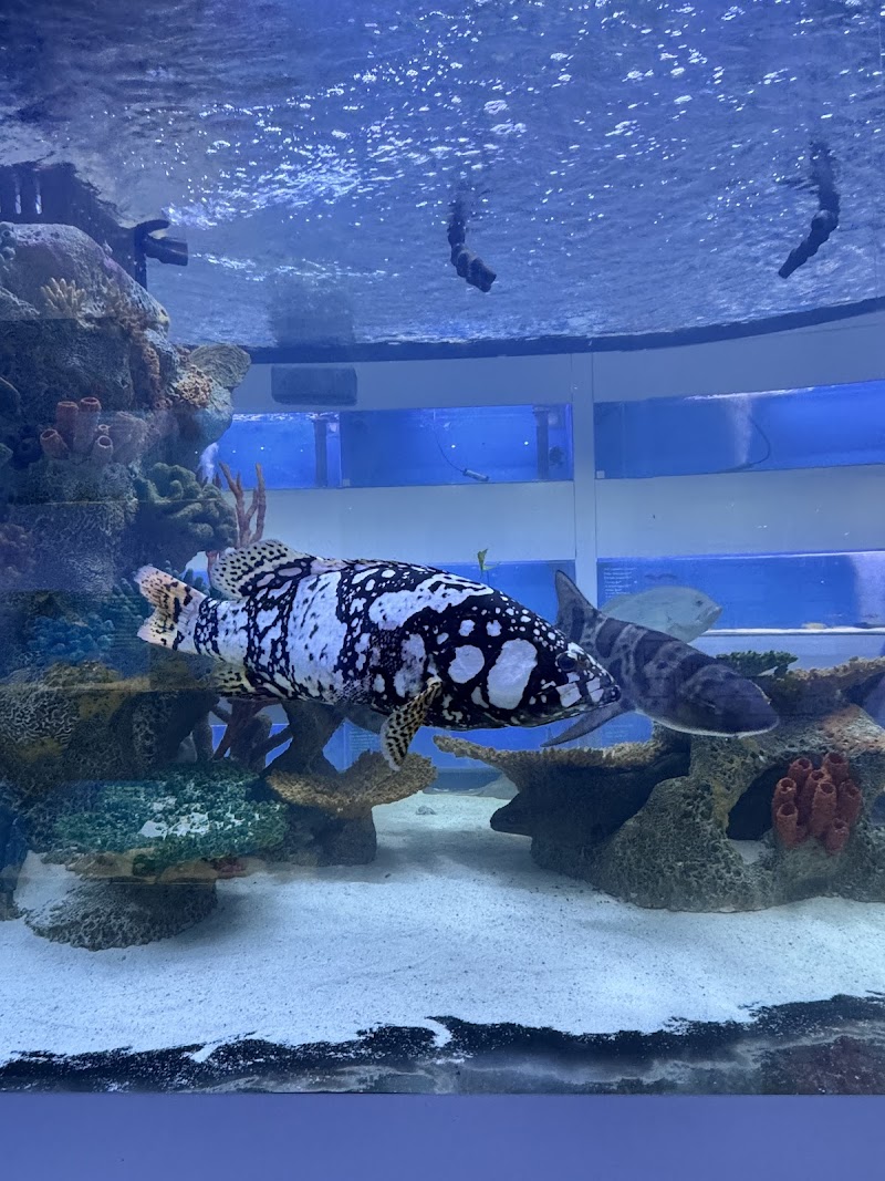 Harry's Marine Life Burbank - Photo 2