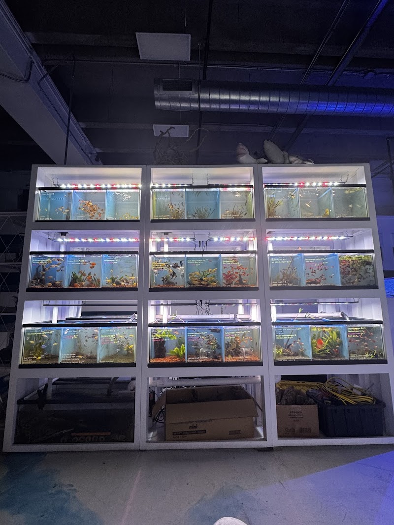 Harry's Marine Life Burbank - Photo 3