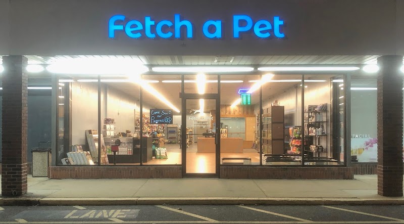 Fetch a Pet - Photo 1