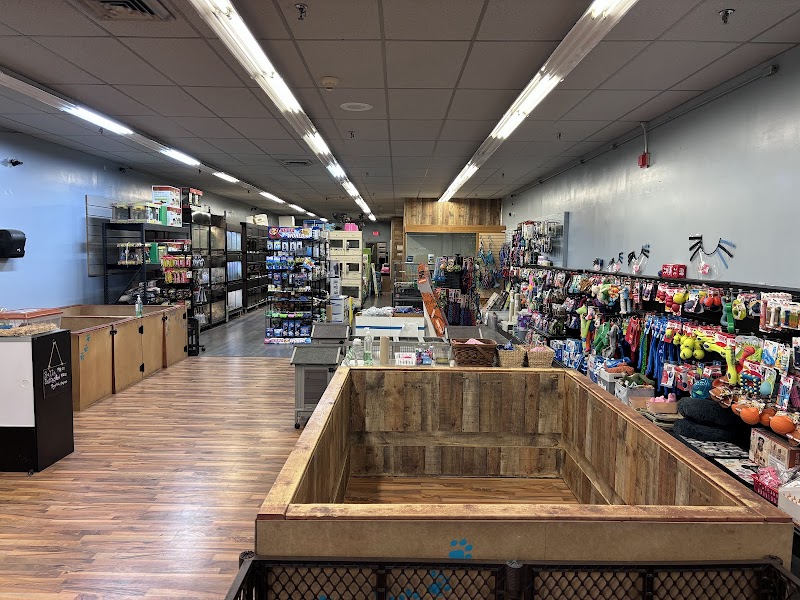 Fetch a Pet - Photo 2