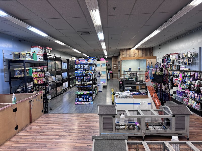 Fetch a Pet - Photo 5