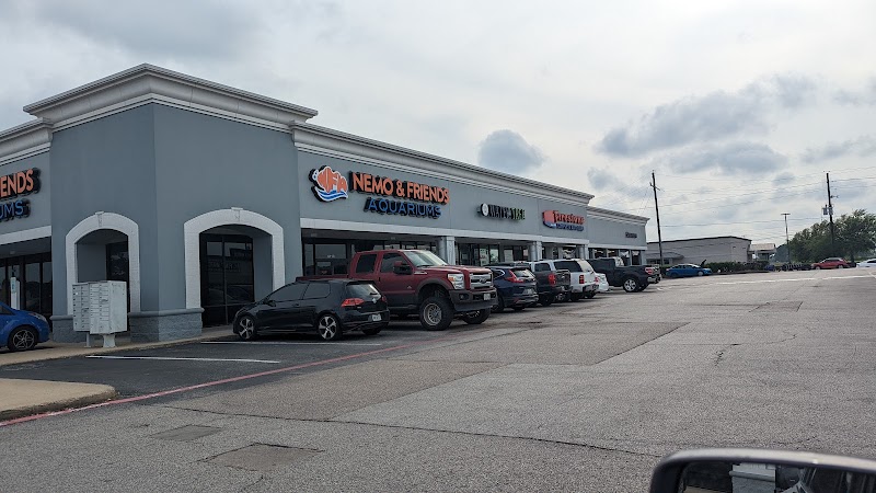 Nemo & Friends Aquariums - Photo 1