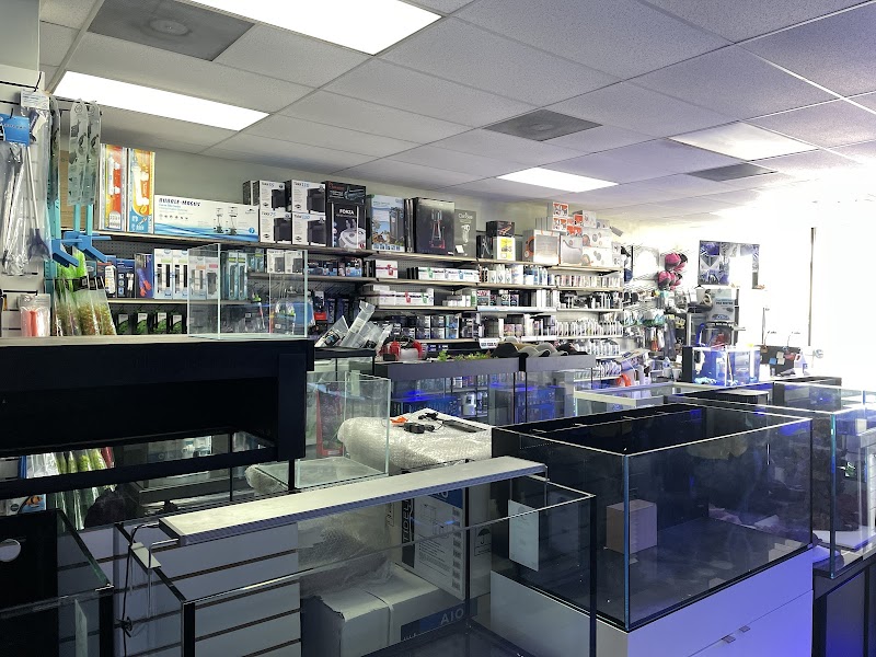 Nemo & Friends Aquariums - Photo 4