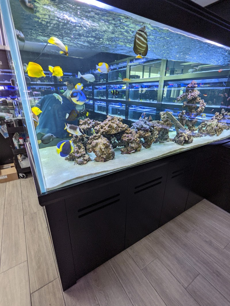 Nemo & Friends Aquariums - Photo 5